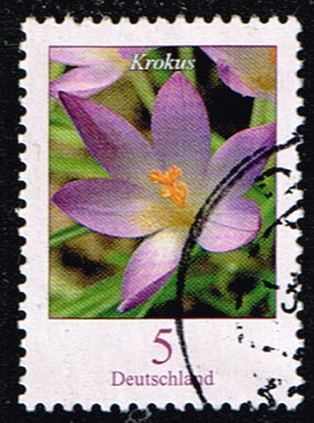 Duitsland (BRD) 2005 Dauerserie Blumen Krokus gestempelt Michel nr 2480
