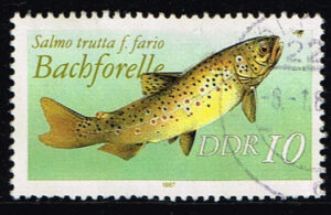Duitsland (DDR) 1987 Süßwasserfische gestempelt Michel nr 3096