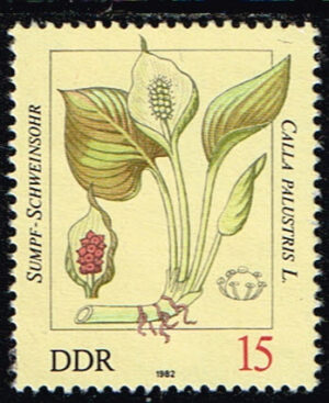 Duitsland (DDR) 1982 Giftpflanzen 15pf gestempelt Michel nr 2692