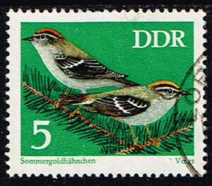 Duitsland (DDR) 1973 Geschützte Singvögel gestempelt Michel nr 1834